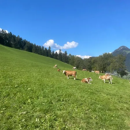 Wiererhof