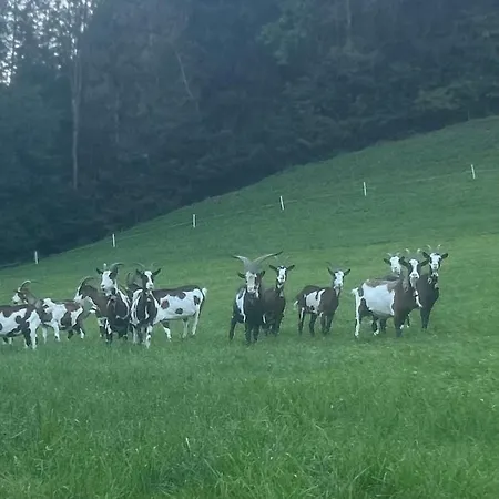 Wiererhof アパート フューゲンベルク