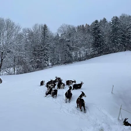 アパート Wiererhof フューゲンベルク