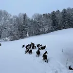 公寓 Wiererhof 菲根贝格